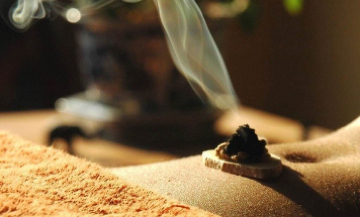 “家有三年艾，郎中不用来”，原来艾叶这么牛！