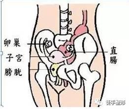 徒手整形许强分享：原来骨盆不正对女性影响这么大