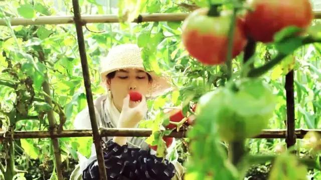 把阳光和时光都锁进玻璃瓶子里，让他在酷夏抚慰你燥热的心