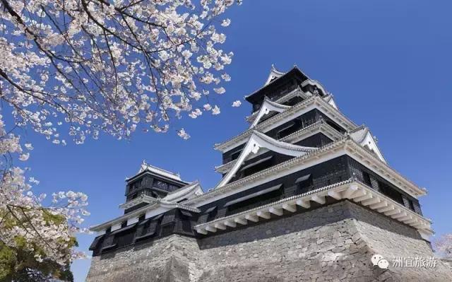 一只熊给我带来的童真：熊本熊的故乡——熊本县（附无完税办理日本多次签证攻略）