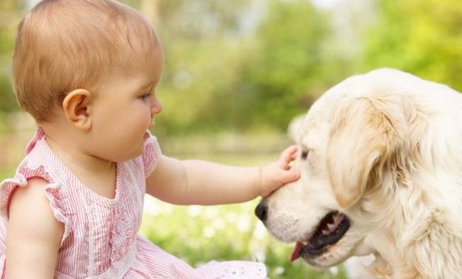 宝宝感冒打喷嚏流鼻涕该怎么办,宝宝感冒频繁打喷嚏流鼻涕怎么办