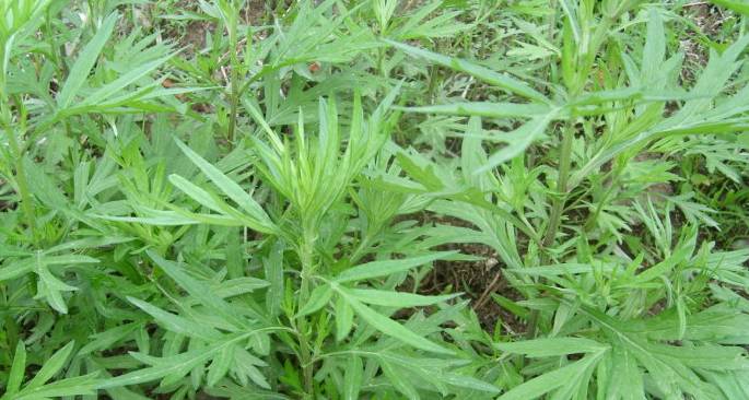 宝宝感冒打喷嚏流鼻涕该怎么办,宝宝感冒频繁打喷嚏流鼻涕怎么办