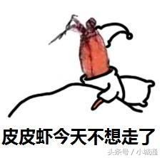 盘点网络上那些梗原版,网络上的那么多梗都是哪来的