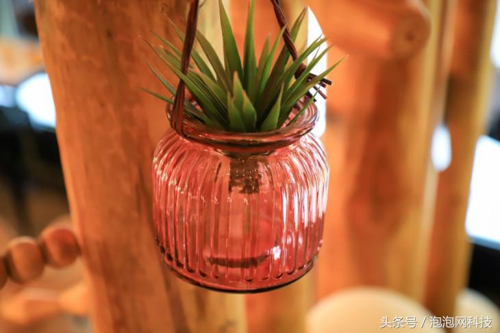 佳能6dmarkii使用详解,入门级全画幅佳能相机型号