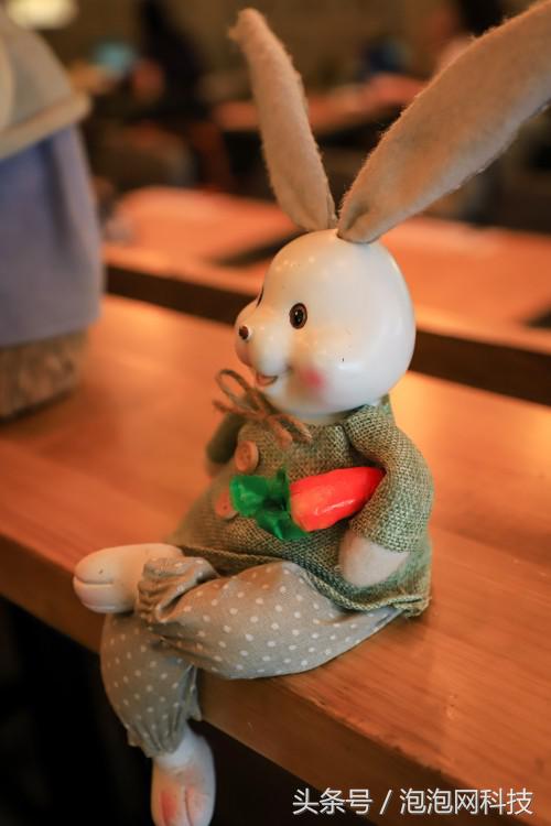 佳能6dmarkii使用详解,入门级全画幅佳能相机型号