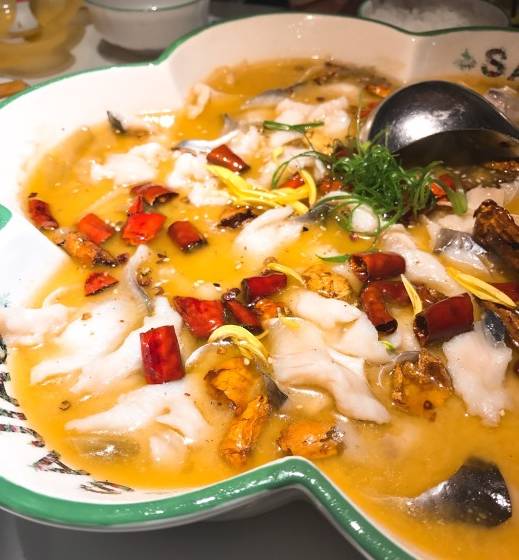 深圳地铁二号线沿途的美食,深圳地铁2号线站点美食