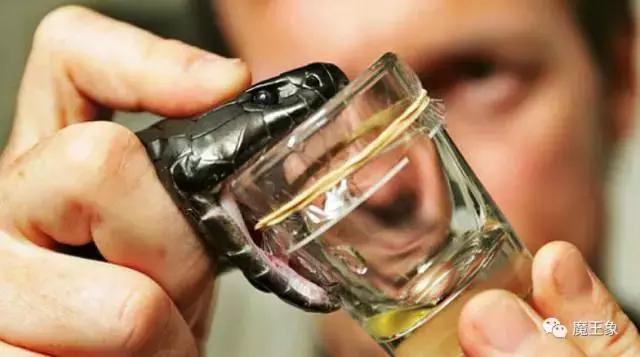 世界上最昂贵的液体排名,10种世界上最昂贵的液体