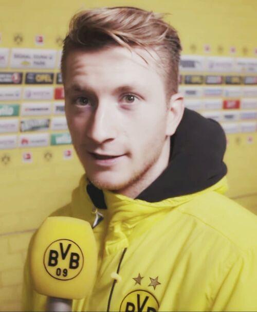 足坛人物志马尔科罗伊斯,马尔科罗伊斯个人资料