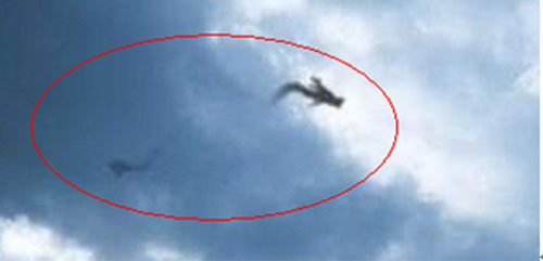 长江出现龙是真的吗,中国传说出现过的龙