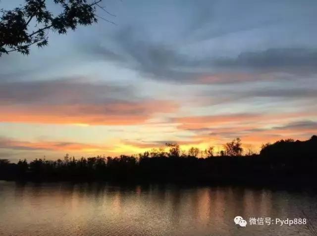 惊！翻倍牛股竟然具有这个相同点！