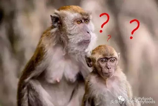 如果孕妇准爸玩真心话大冒险，他们会说什么？