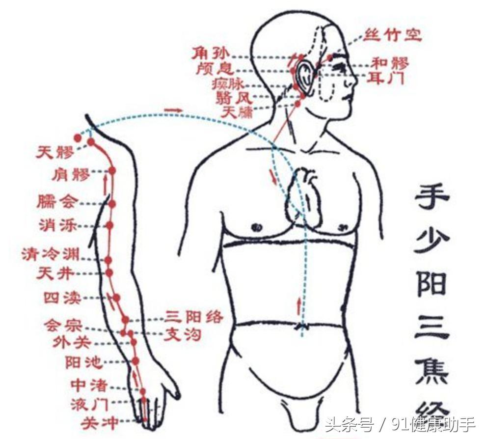 三焦经穴位功效作用详解,手少阳三焦经腧穴主治