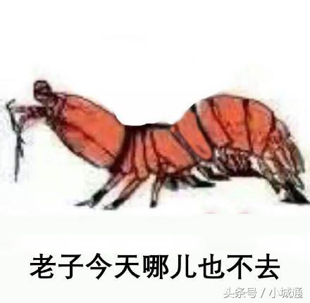 盘点网络上那些梗原版,网络上的那么多梗都是哪来的