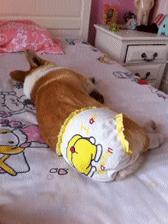 如何向一个直男解释姨妈疼,如何跟直男解释姨妈痛