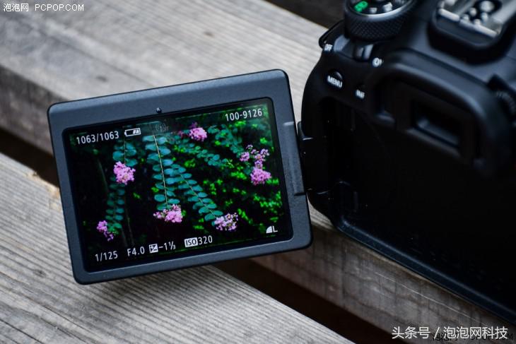 佳能6dmarkii使用详解,入门级全画幅佳能相机型号