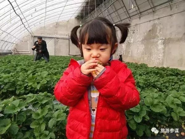 2017年梅花鹿节举办,长春双阳梅花鹿节