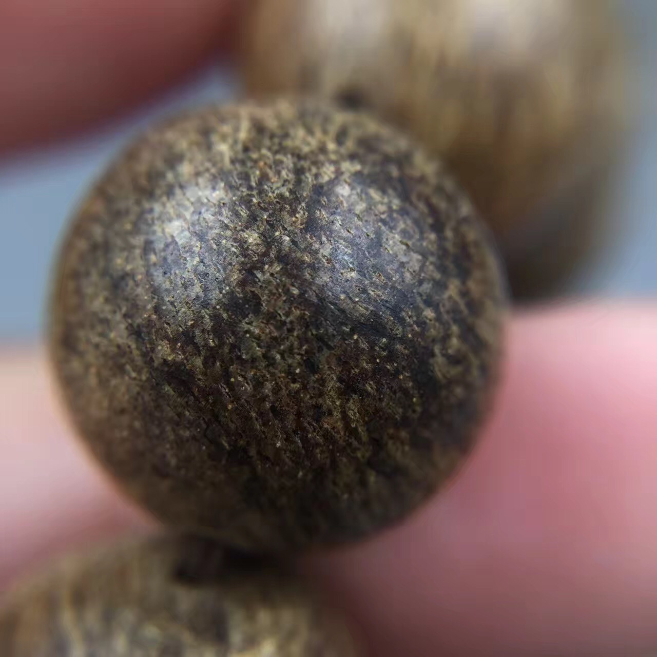 广东茂名电白沉香之乡奇楠直播,沉香五大奇楠产地