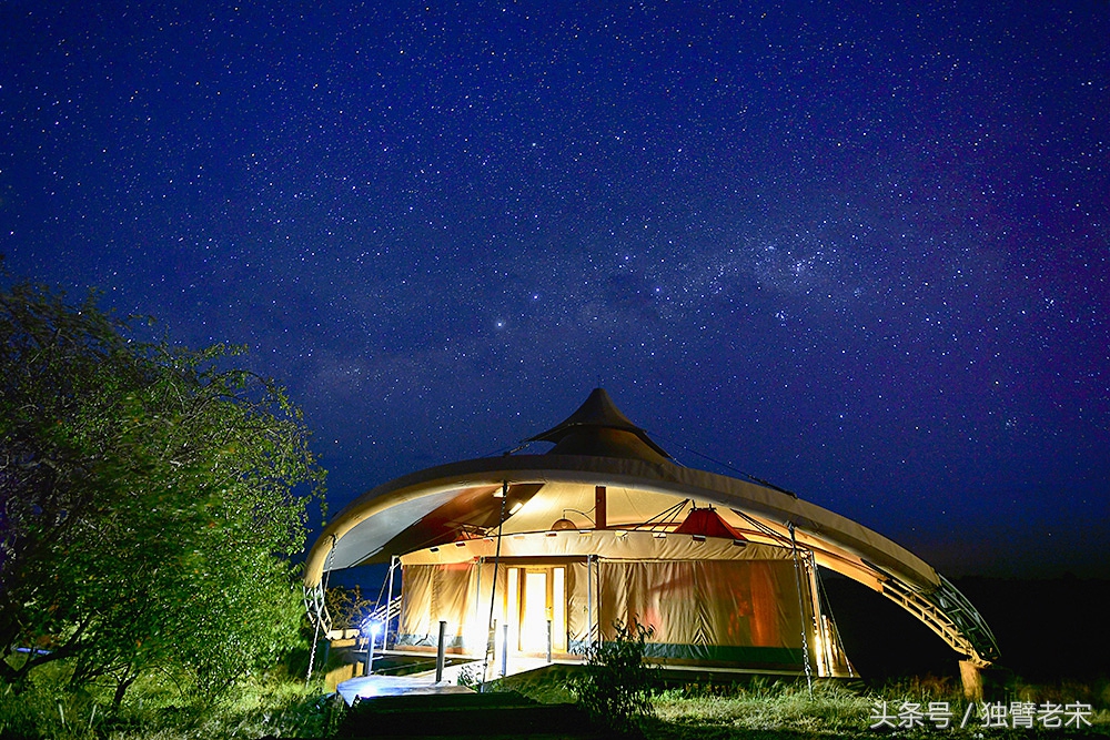 肯尼亚大草原狮子为什么不攻击人,肯尼亚非洲大草原雄狮大战犀牛