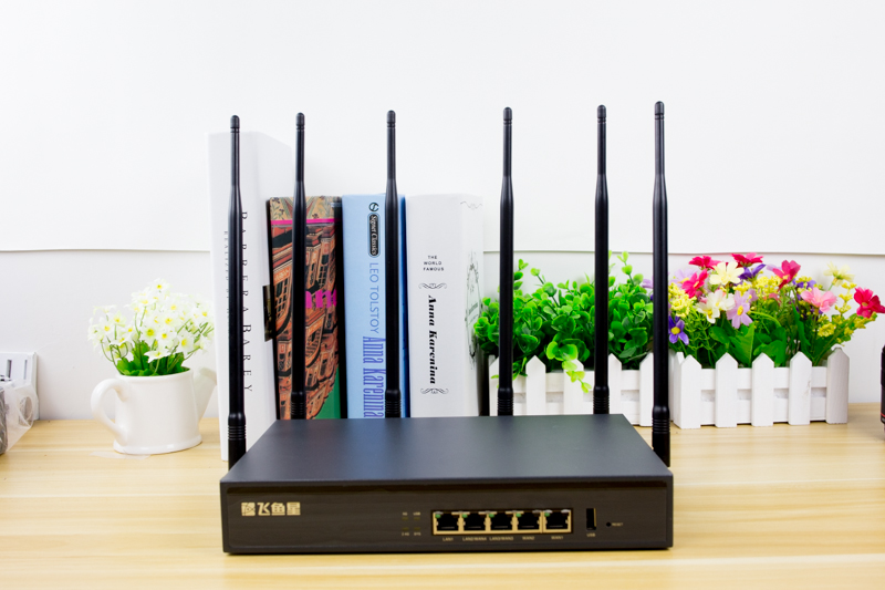 千兆飞鱼星路由器什么型号,飞鱼星百兆路由器