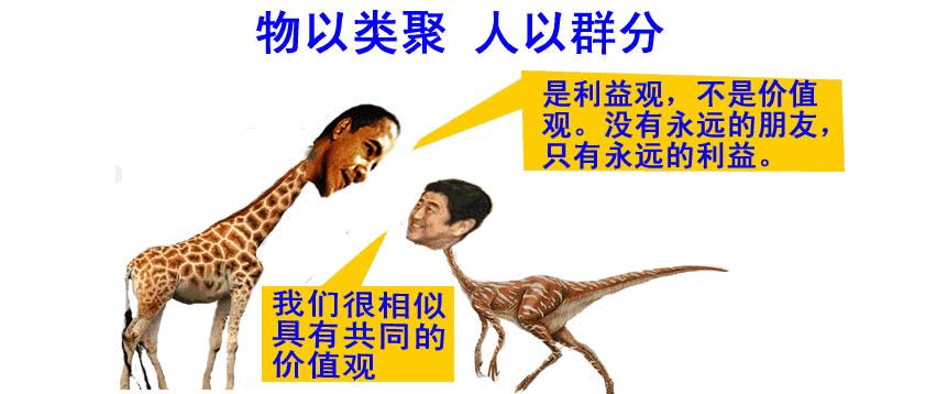 过于纠结正品跟高仿,市面上高仿品牌与正品