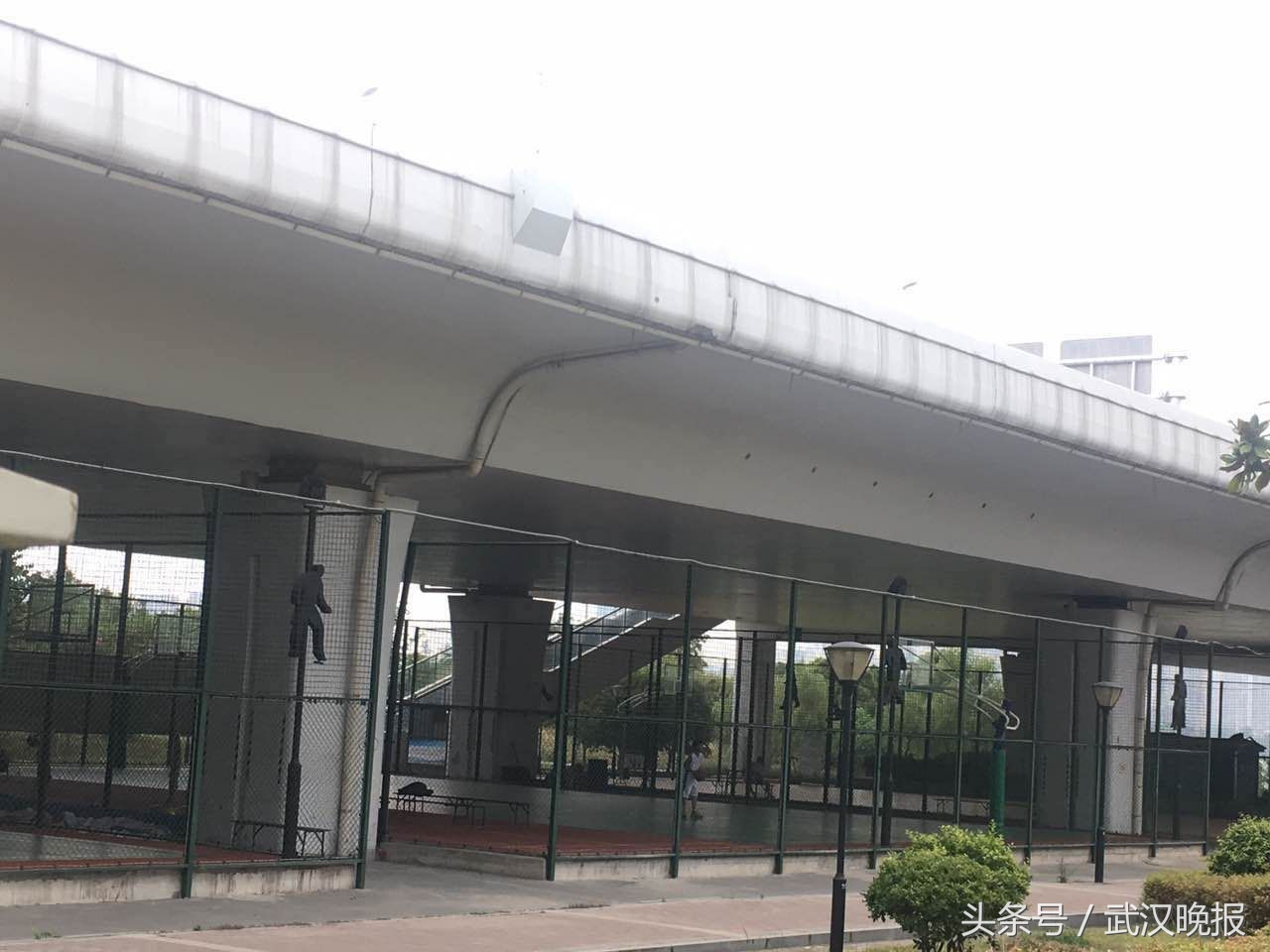 武汉市城市桥梁隧道安全管理条例,武汉市桥隧限行最新政策