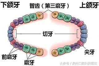 那些会让人误解的口腔小知识,大部分中国人都有的口腔问题