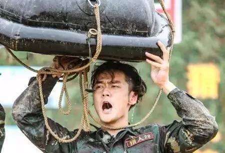 靳东热巴最新电视剧,杨幂靳东迪丽热巴