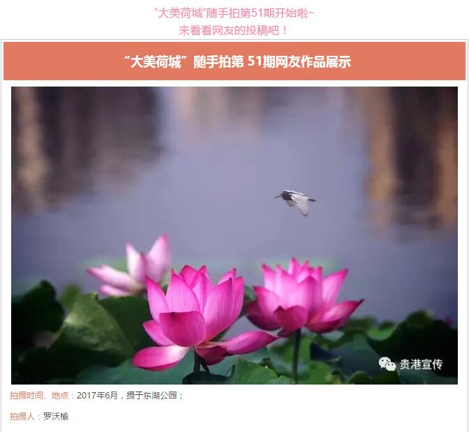 贵港体育馆中心馆,贵港市体育中心开放时间