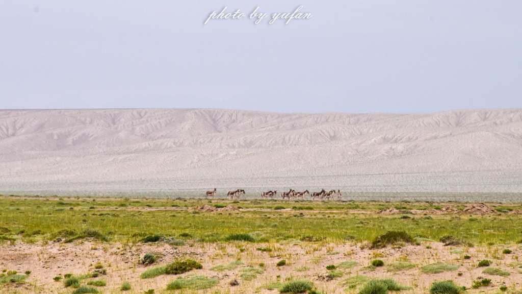 无人区穿越多少公里,无人区穿越和荒野求生哪个难