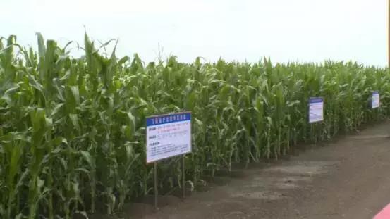 国内的奶粉还能买吗,现在还能买国外原装进口奶粉吗