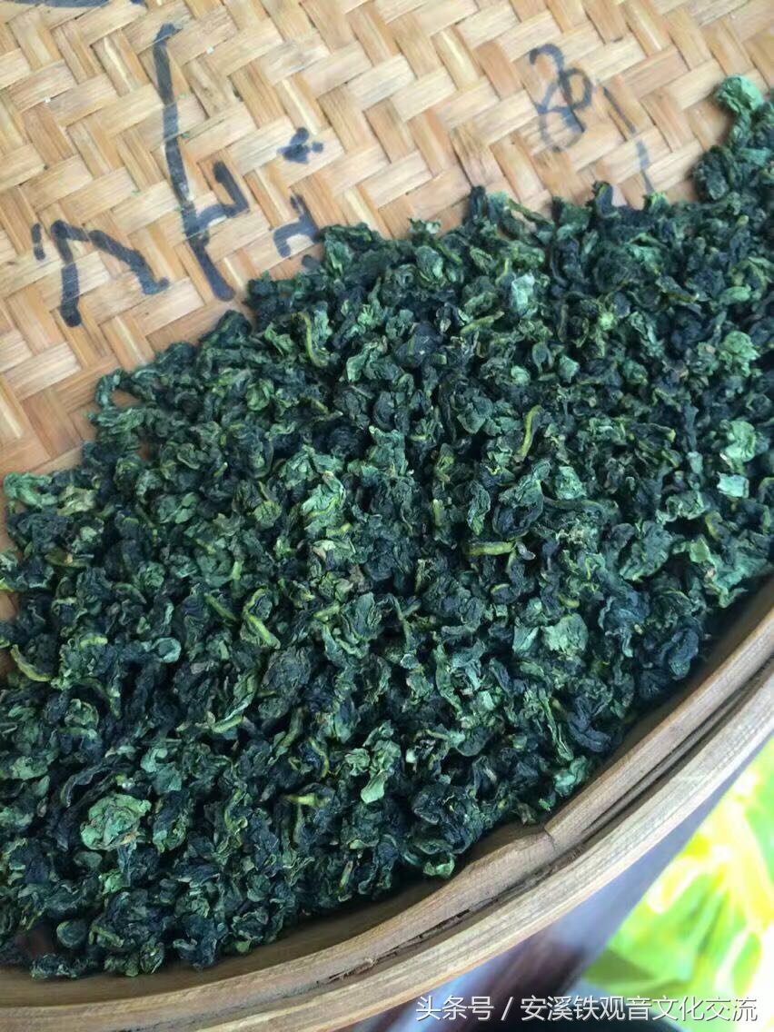 对铁观音的误解,关于铁观音的误解