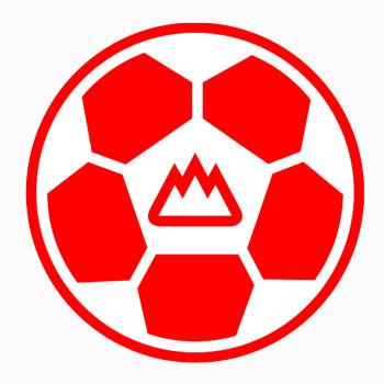 山东鲁能队徽设计,山东鲁能队史上最强阵容