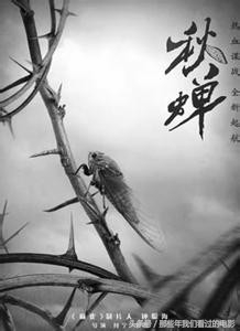 秋蝉任嘉伦颖儿版,任嘉伦谍战剧秋蝉现在播放吗