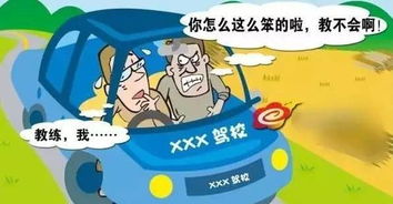 共享经济时代，有没有一种商业模式，干掉驾校？一名驾校学员心声｜胡兄日记