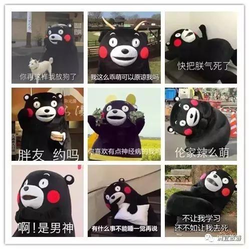 一只熊给我带来的童真：熊本熊的故乡——熊本县（附无完税办理日本多次签证攻略）