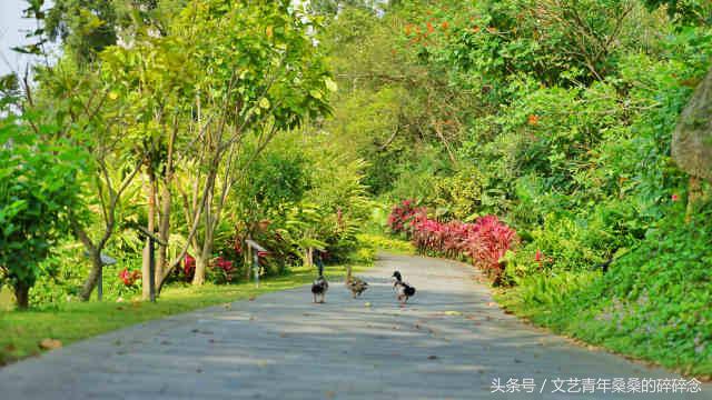 此地与我有缘-再见闽南