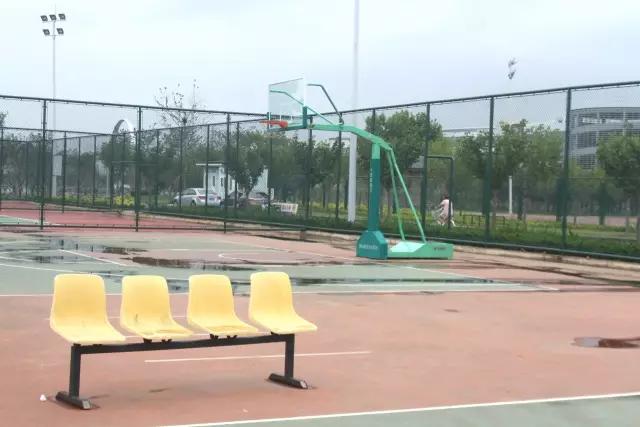 樱花湖赏樱花的最佳位置,樱花湖上