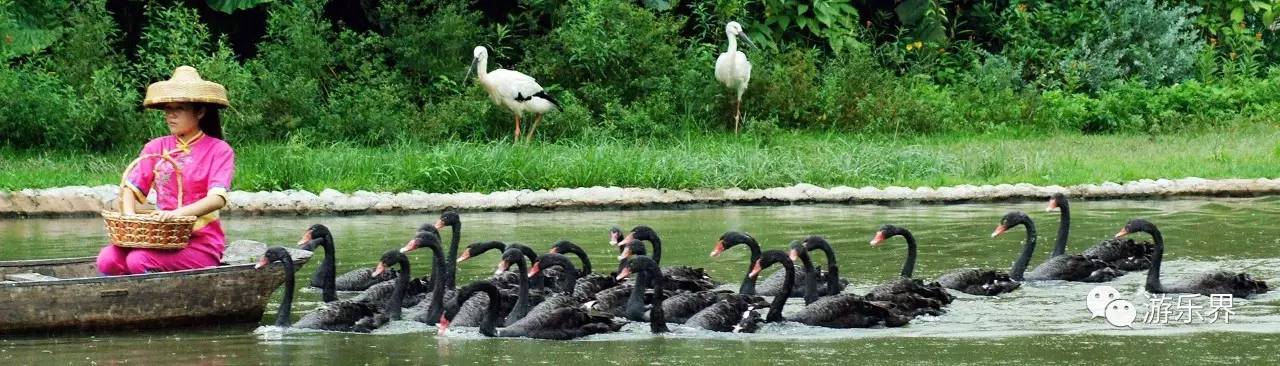 中国乐园大数据系列：广东省篇