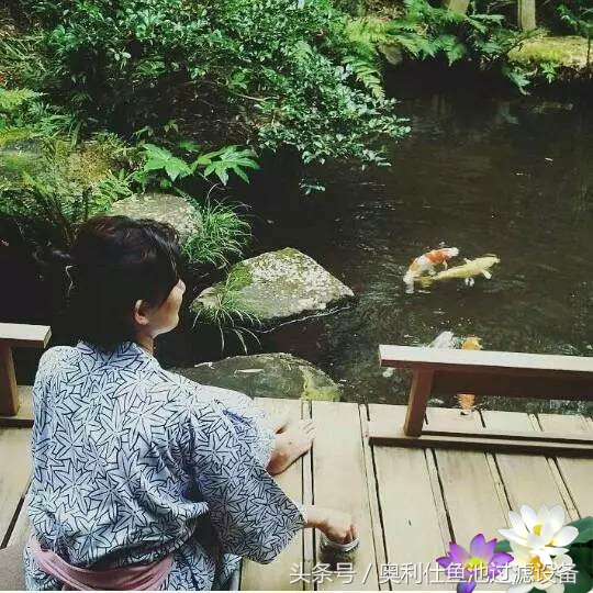 不会撩妹的锦鲤，不是一条好锦鲤！