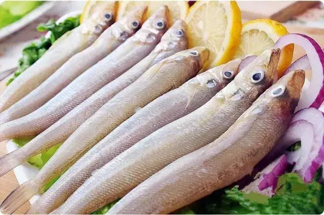 您知道哪些常见的海鱼,一啸海钓