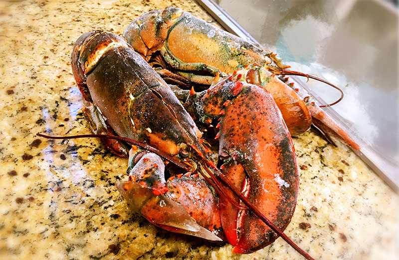 粉丝蒜蓉波士顿大龙虾的做法大全,蒜蓉大龙虾