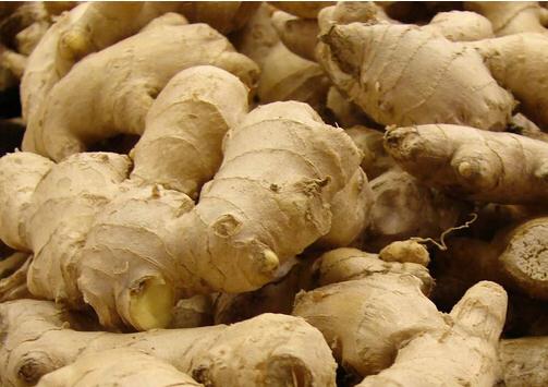 热水泡脚加点它3天逼出体内湿气,湿气重三伏天泡脚有用吗