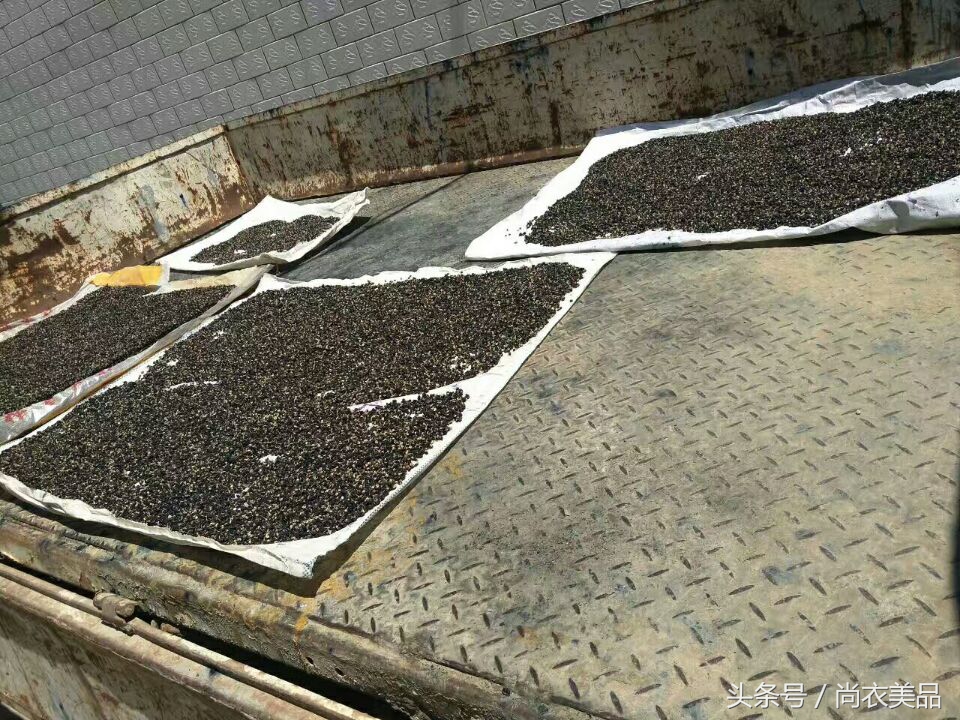 新疆最好的黑枸杞多少钱一斤,新疆黑枸杞的介绍