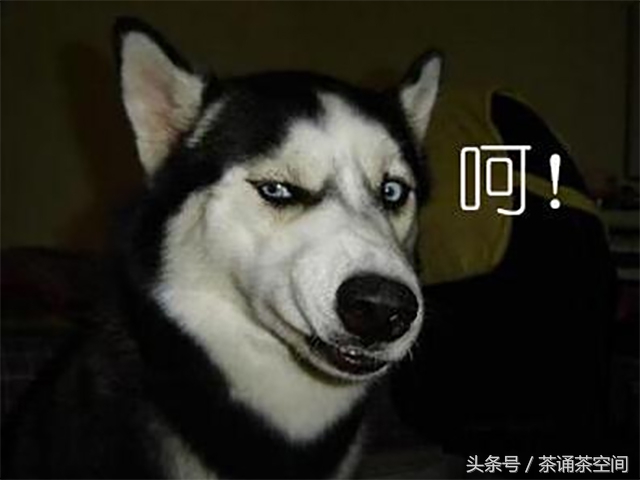 宋朝人的现代生活：叫外卖，养宠物，城管凶，还炒股