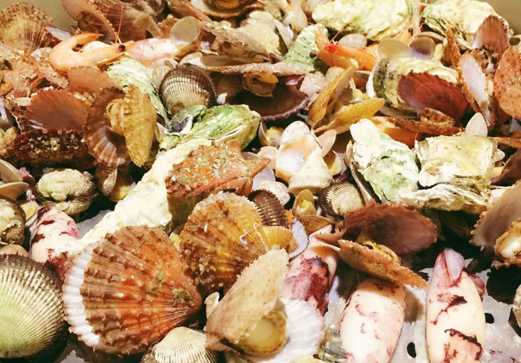 惠州巽寮湾住宿攻略,巽寮湾一天一晚旅游攻略