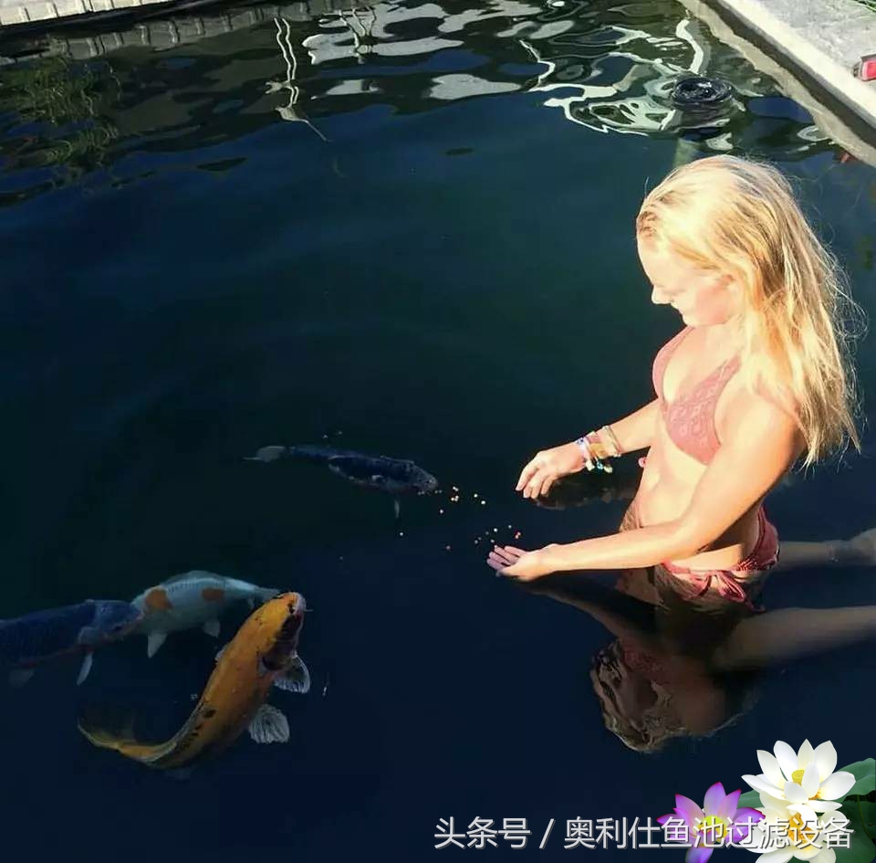 不会撩妹的锦鲤，不是一条好锦鲤！