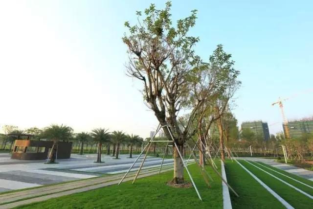 珠海夏日清凉避暑胜地,珠海凉爽的地方