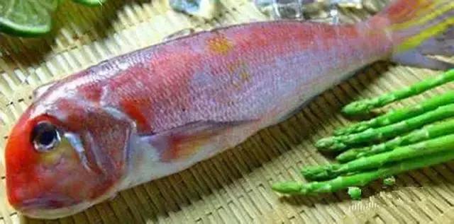 您知道哪些常见的海鱼,一啸海钓