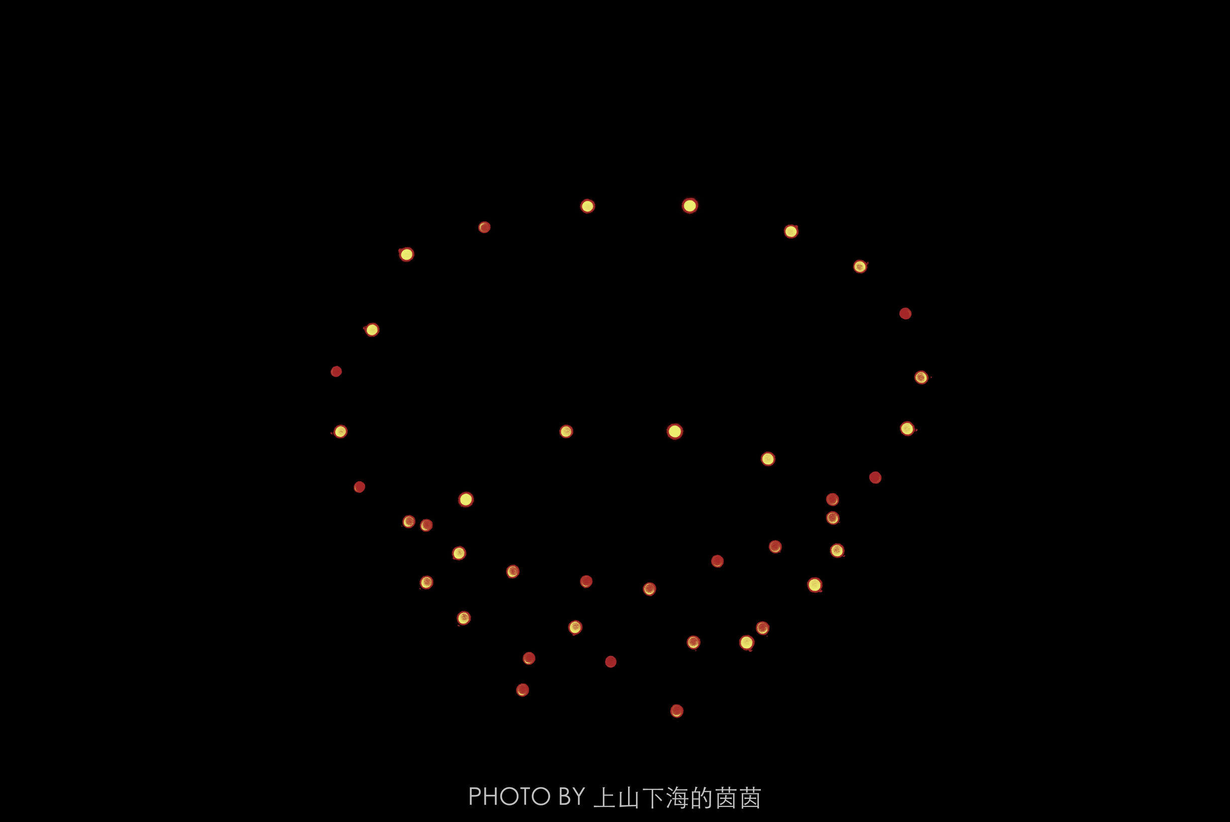 珠海长隆海洋王国让我们大开眼界,游珠海长隆海洋王国超级巨幕