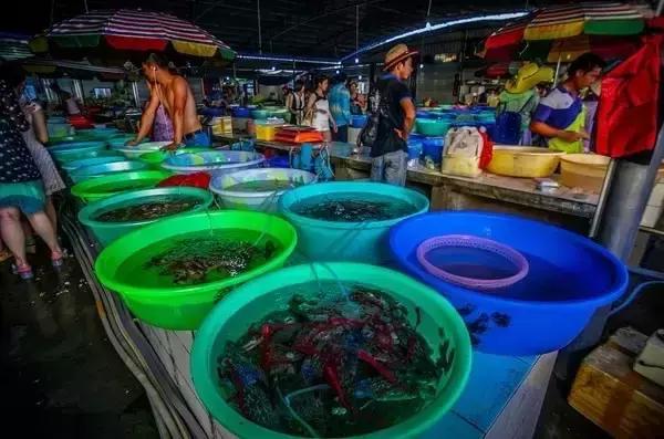 面朝大海春暖花开涠洲岛之旅,海景圣地涠洲岛